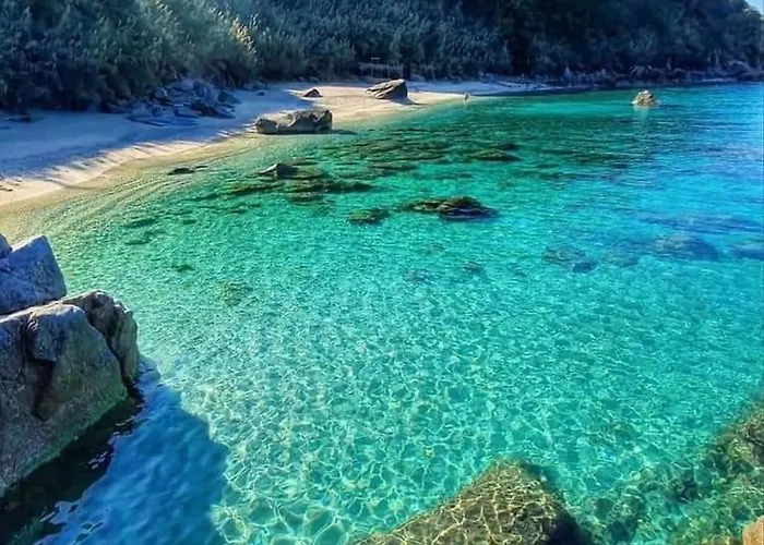 公寓 Il Tramonto Capo Vaticano